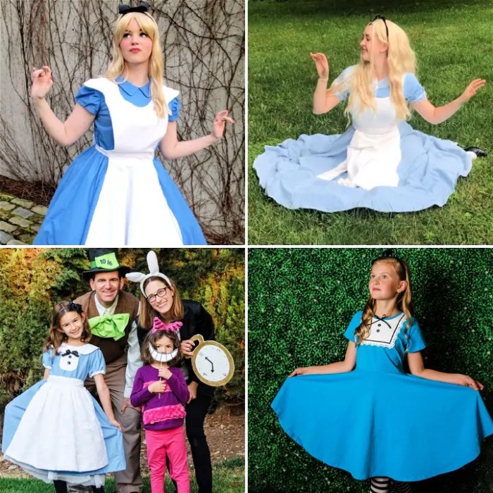 Costume alice in wonderland diy