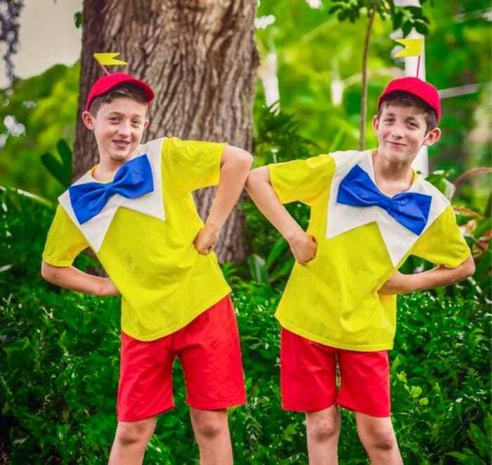 Diy tweedle dee costume