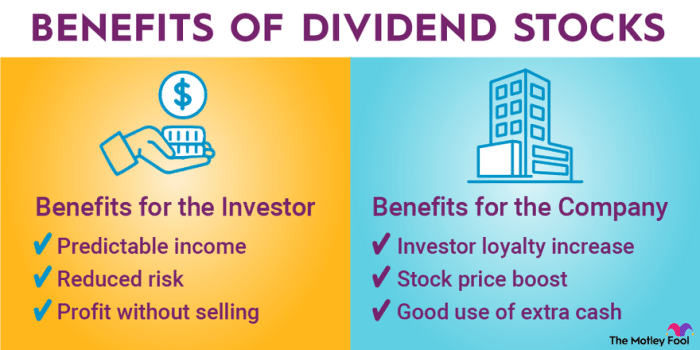 Dividend