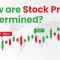 How a Stock Price Is Determined